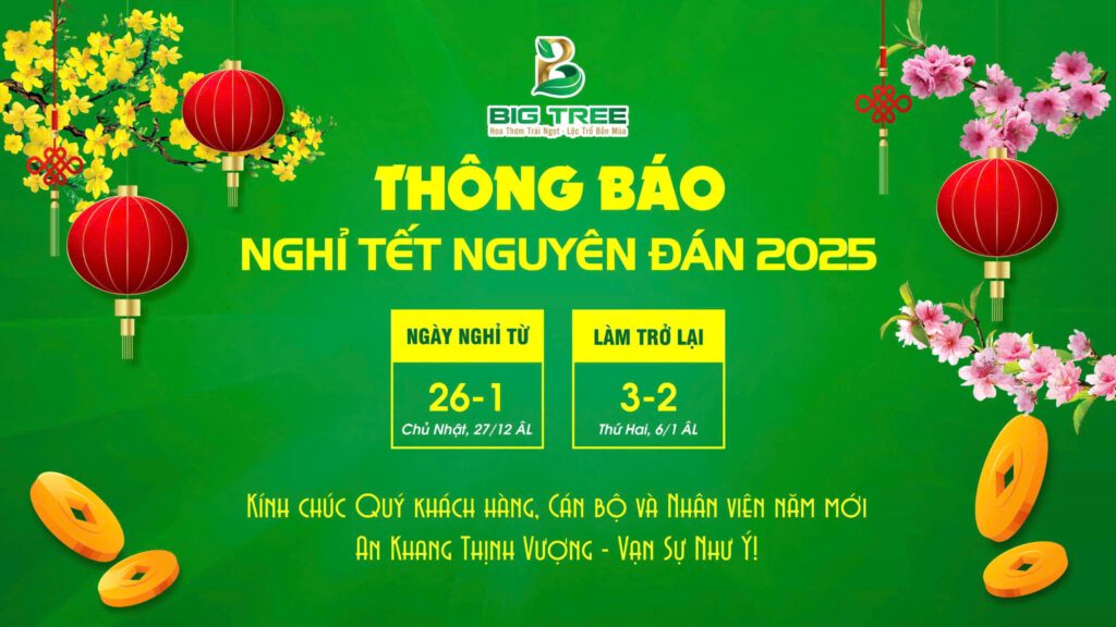 THÔNG BÁO NGHỈ TẾT NGUYÊN ĐÁN 2025