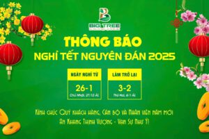 THÔNG BÁO NGHỈ TẾT NGUYÊN ĐÁN 2025